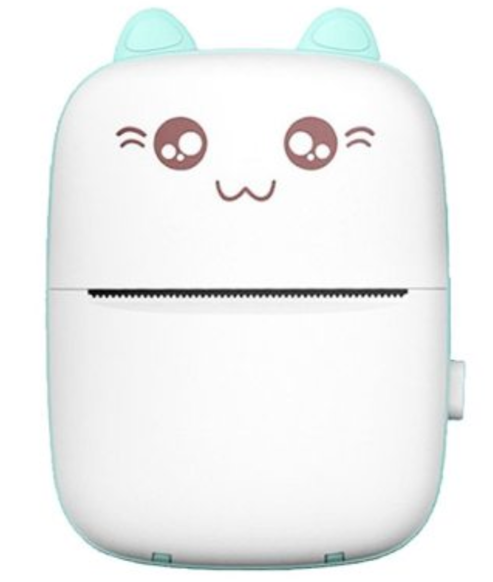 Mini portable laser printer