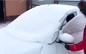 Magnetic car anti-snow cover